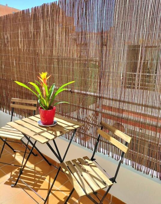 Appartement Estudio 52 Malaga Centrico Parking Gratuito Extérieur photo