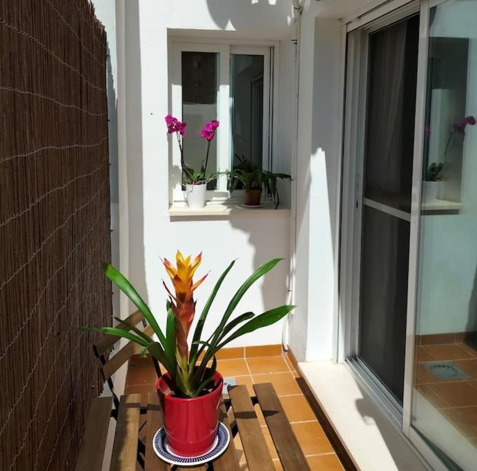 Appartement Estudio 52 Malaga Centrico Parking Gratuito Extérieur photo